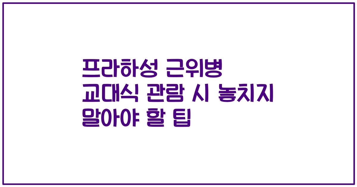 프라하성 근위병 교대식 관람 시 놓치지 말아야 할 팁